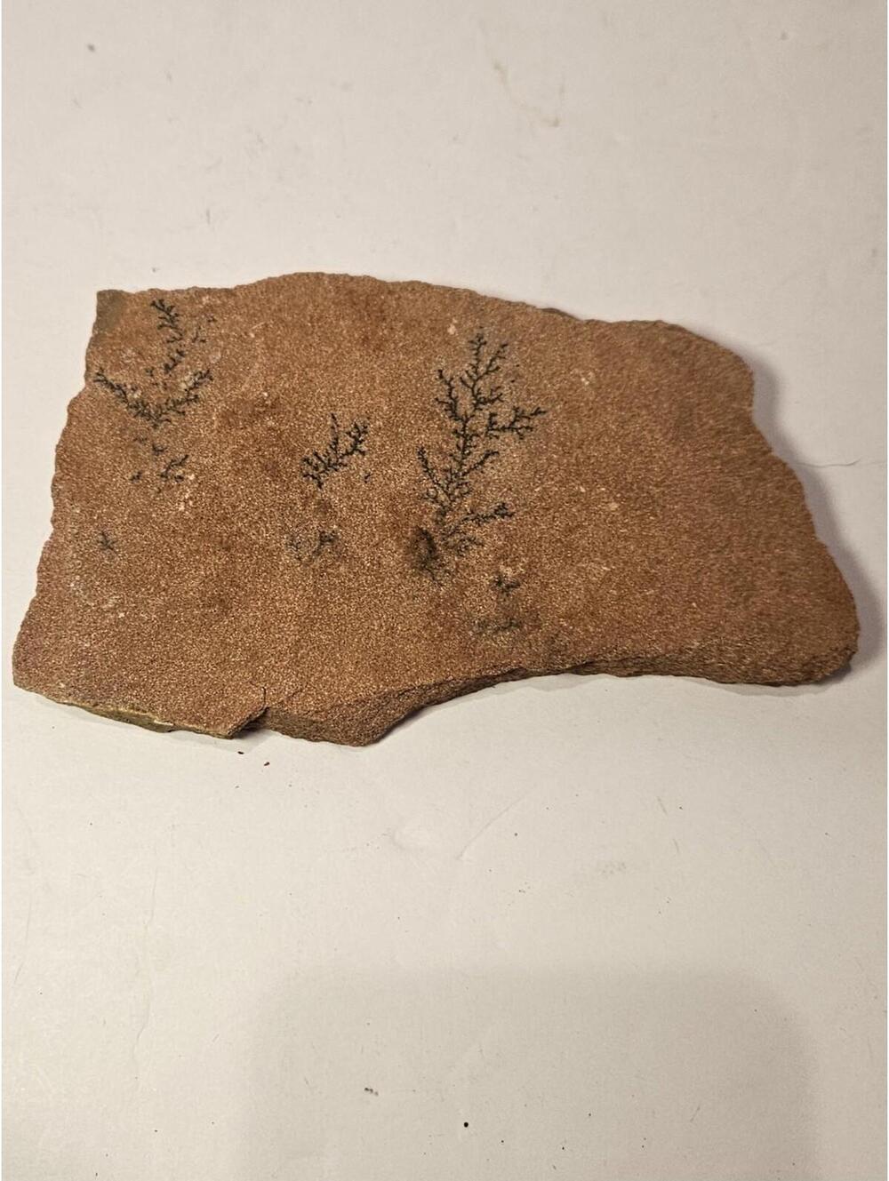 2" & 1" Pyrolusite Dendritic Sandstone Stone Is ‎ 5.5"x3"
